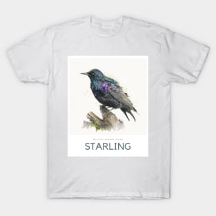 British Garden Birds: Starling T-Shirt